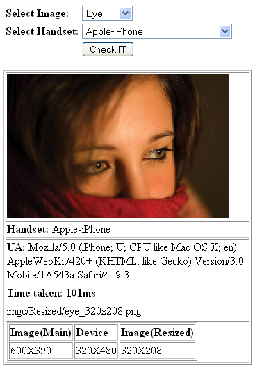 Simulator screenshot